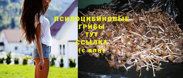 синтетический гашиш Осташков