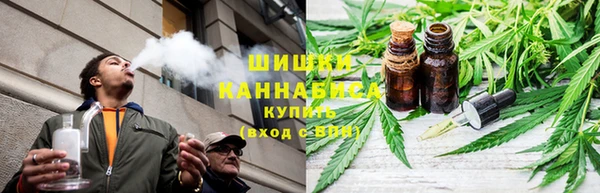 прущие грибы Тавда