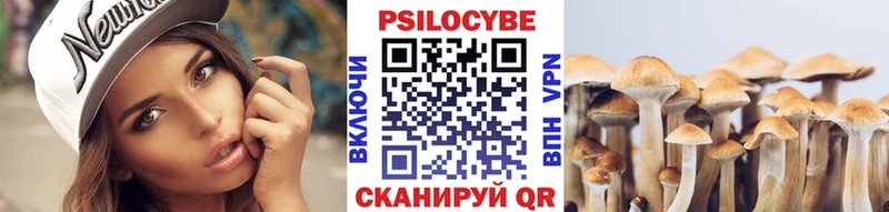 Псилоцибиновые грибы мухоморы Берёзовка